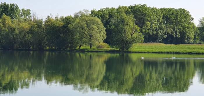 Hôtel de Greuze | Activités &amp; Tourisme | Visiter Tournus - Bourgogne